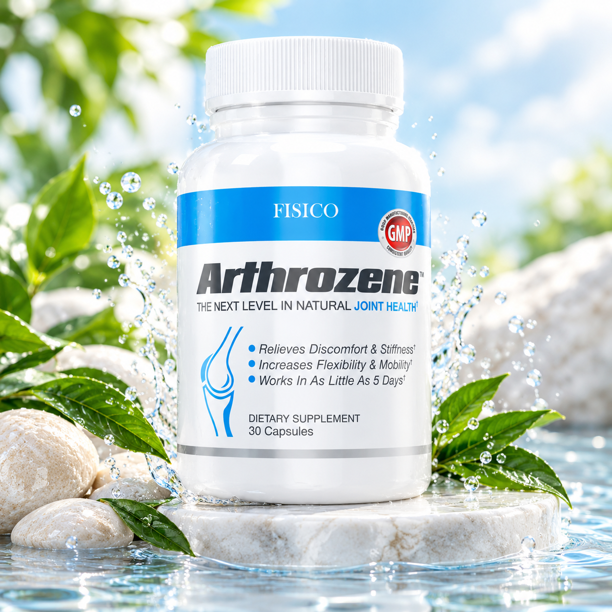 Joint Support Supplement - Promotes Mobility, Flexibility, and Comfort with Hyaluronic Acid, Collagen Type II, and Boswellia - 30 Capsules